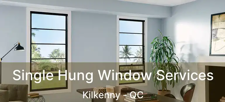  Single Hung Window Services Kilkenny - QC