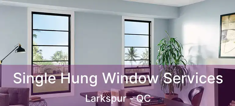  Single Hung Window Services Larkspur - QC
