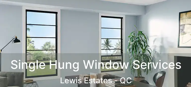  Single Hung Window Services Lewis Estates - QC