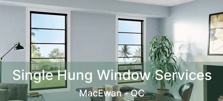  Single Hung Window Services MacEwan - QC