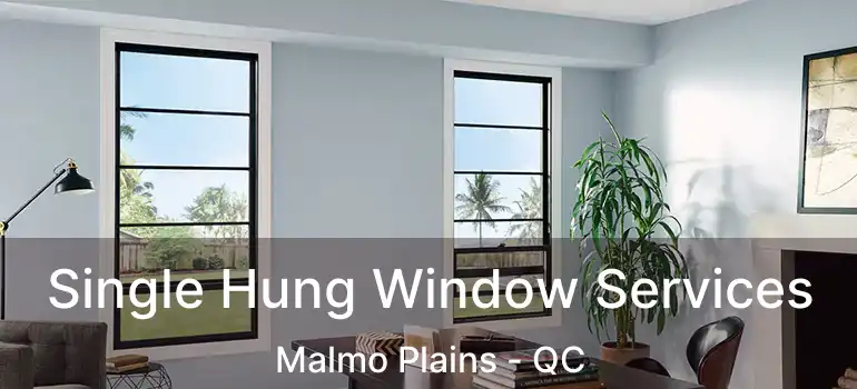  Single Hung Window Services Malmo Plains - QC