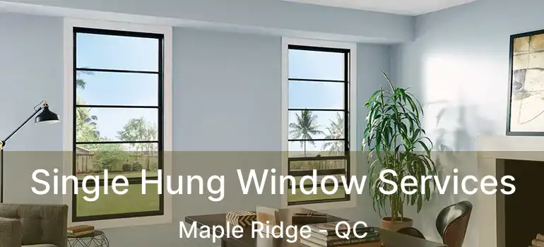  Single Hung Window Services Maple Ridge - QC