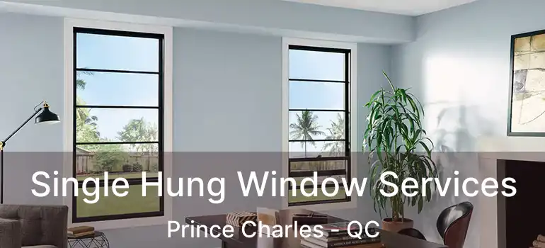  Single Hung Window Services Prince Charles - QC