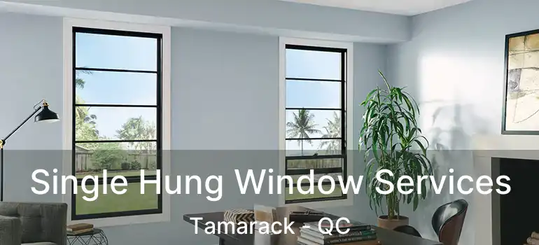  Single Hung Window Services Tamarack - QC