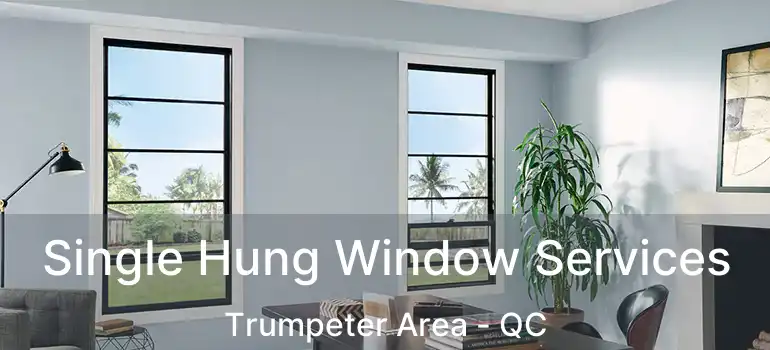  Single Hung Window Services Trumpeter Area - QC