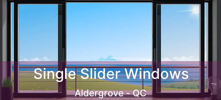  Single Slider Windows Aldergrove - QC