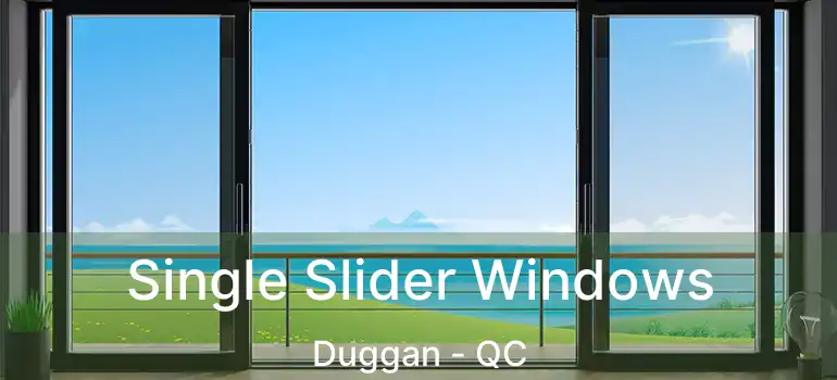  Single Slider Windows Duggan - QC