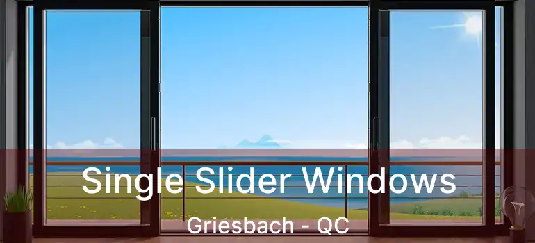  Single Slider Windows Griesbach - QC