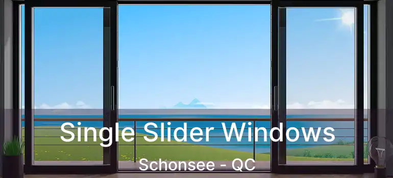  Single Slider Windows Schonsee - QC