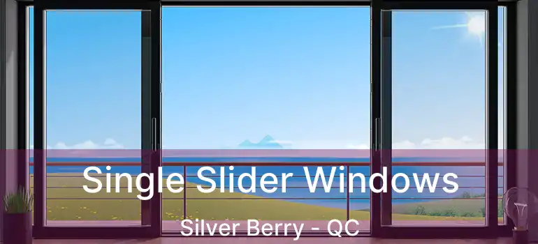  Single Slider Windows Silver Berry - QC