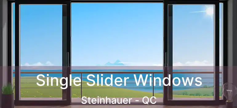  Single Slider Windows Steinhauer - QC