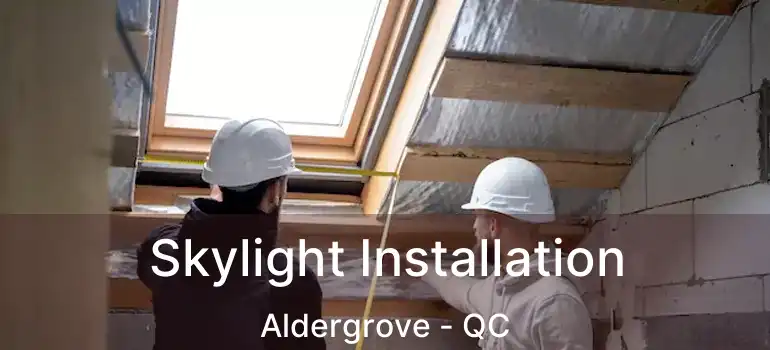  Skylight Installation Aldergrove - QC
