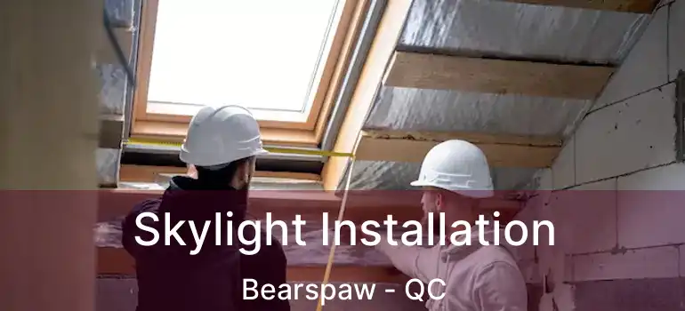  Skylight Installation Bearspaw - QC