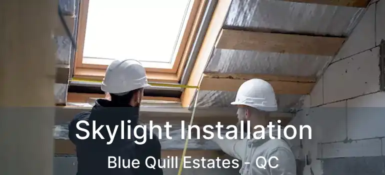  Skylight Installation Blue Quill Estates - QC