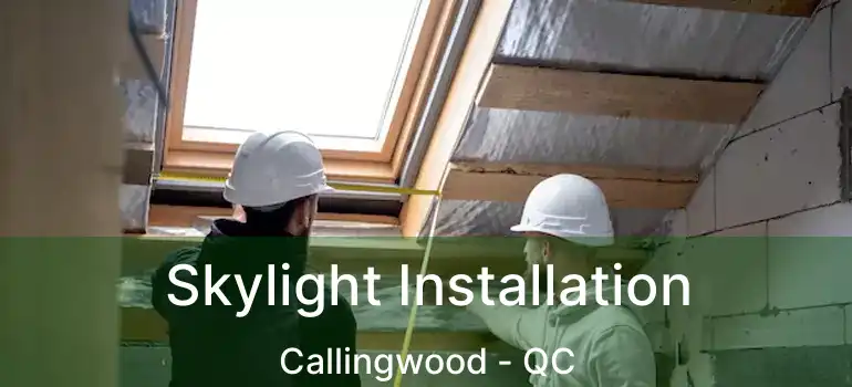  Skylight Installation Callingwood - QC