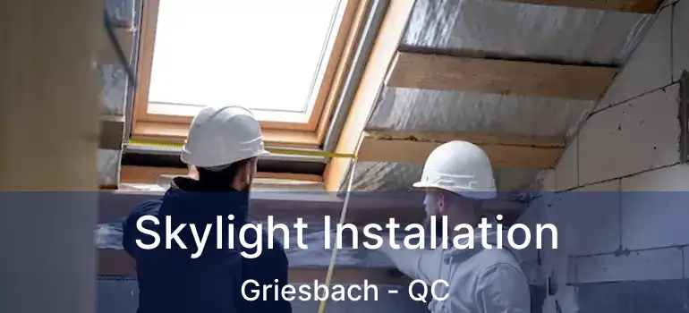  Skylight Installation Griesbach - QC