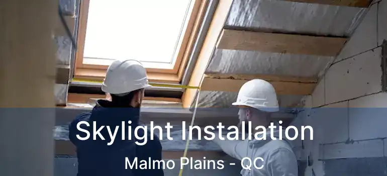  Skylight Installation Malmo Plains - QC