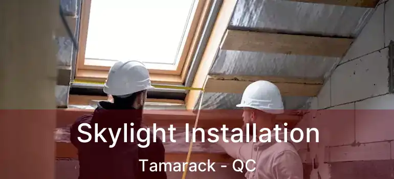  Skylight Installation Tamarack - QC