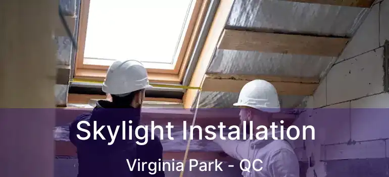  Skylight Installation Virginia Park - QC