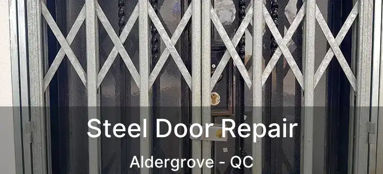  Steel Door Repair Aldergrove - QC