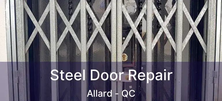  Steel Door Repair Allard - QC