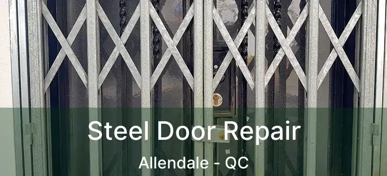  Steel Door Repair Allendale - QC
