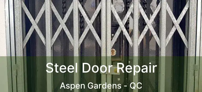  Steel Door Repair Aspen Gardens - QC