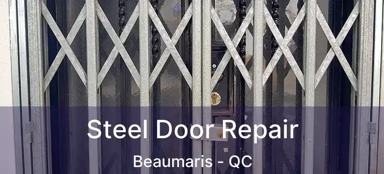 Steel Door Repair Beaumaris - QC