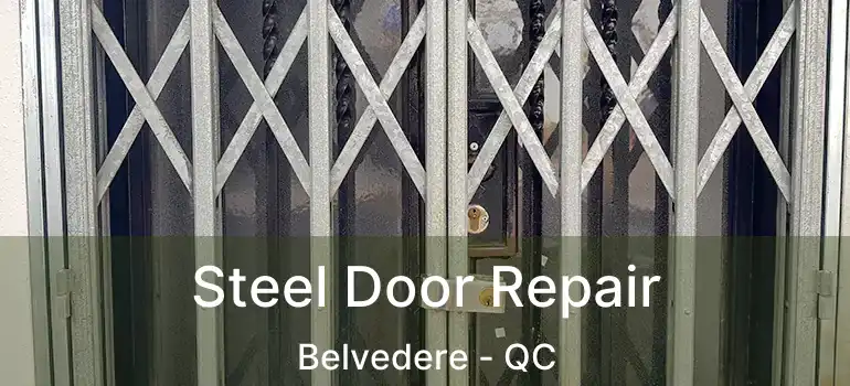  Steel Door Repair Belvedere - QC