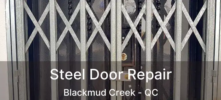  Steel Door Repair Blackmud Creek - QC