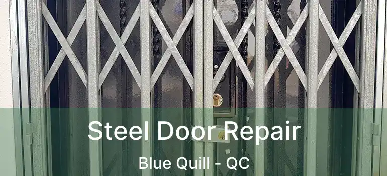  Steel Door Repair Blue Quill - QC