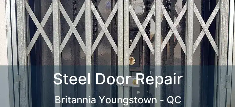  Steel Door Repair Britannia Youngstown - QC