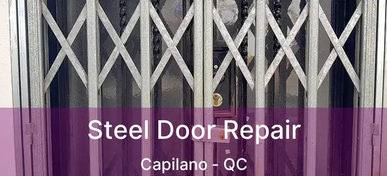  Steel Door Repair Capilano - QC