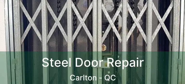  Steel Door Repair Carlton - QC