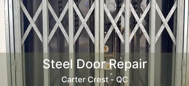  Steel Door Repair Carter Crest - QC