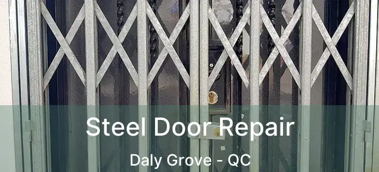  Steel Door Repair Daly Grove - QC