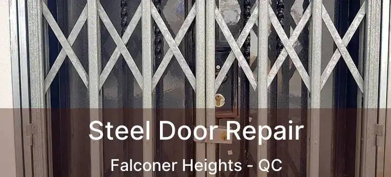  Steel Door Repair Falconer Heights - QC
