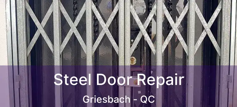  Steel Door Repair Griesbach - QC