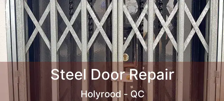  Steel Door Repair Holyrood - QC
