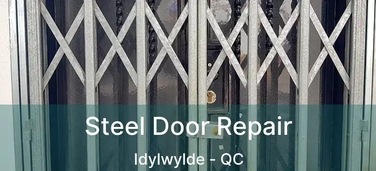  Steel Door Repair Idylwylde - QC