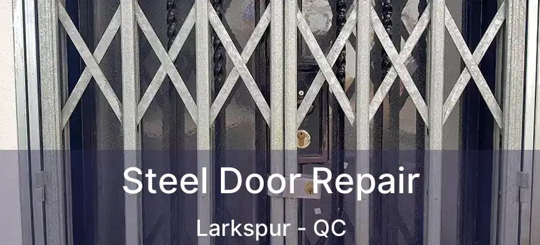  Steel Door Repair Larkspur - QC