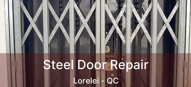  Steel Door Repair Lorelei - QC