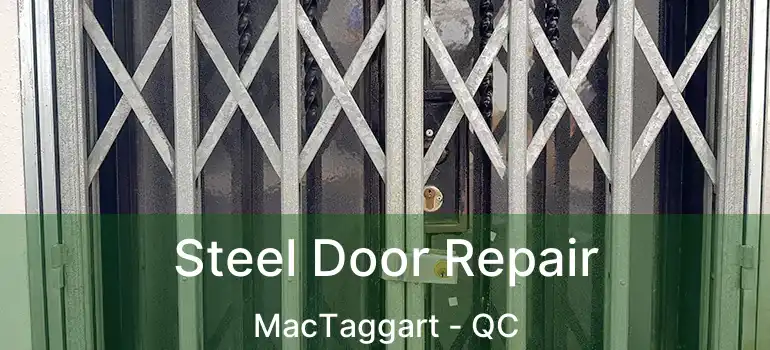  Steel Door Repair MacTaggart - QC