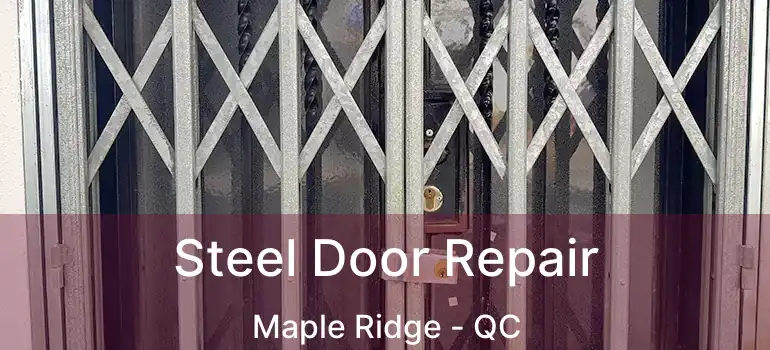  Steel Door Repair Maple Ridge - QC