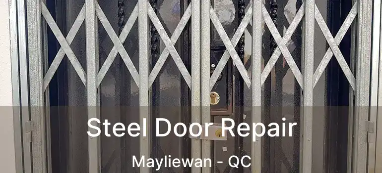  Steel Door Repair Mayliewan - QC