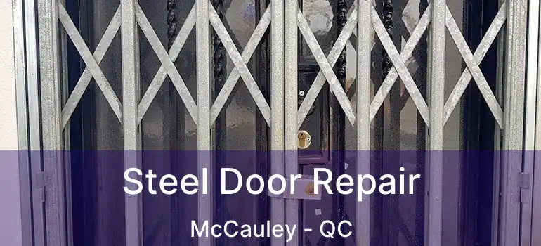  Steel Door Repair McCauley - QC