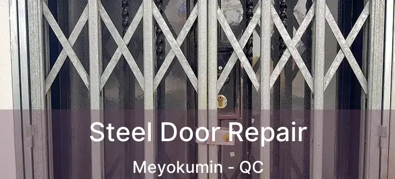  Steel Door Repair Meyokumin - QC