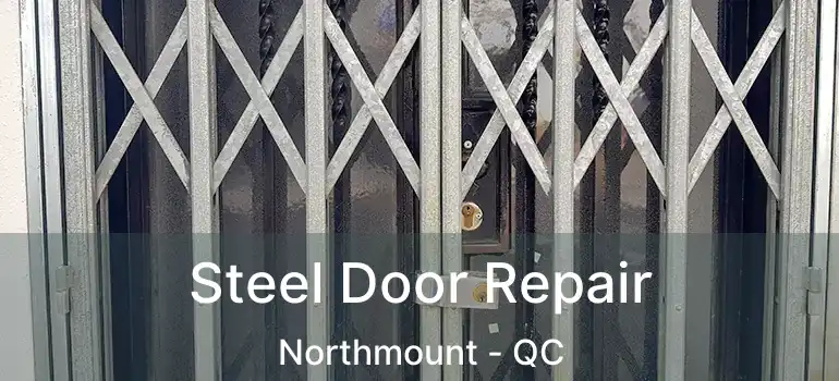 Steel Door Repair Northmount - QC