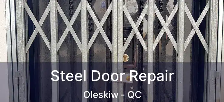  Steel Door Repair Oleskiw - QC