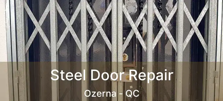  Steel Door Repair Ozerna - QC